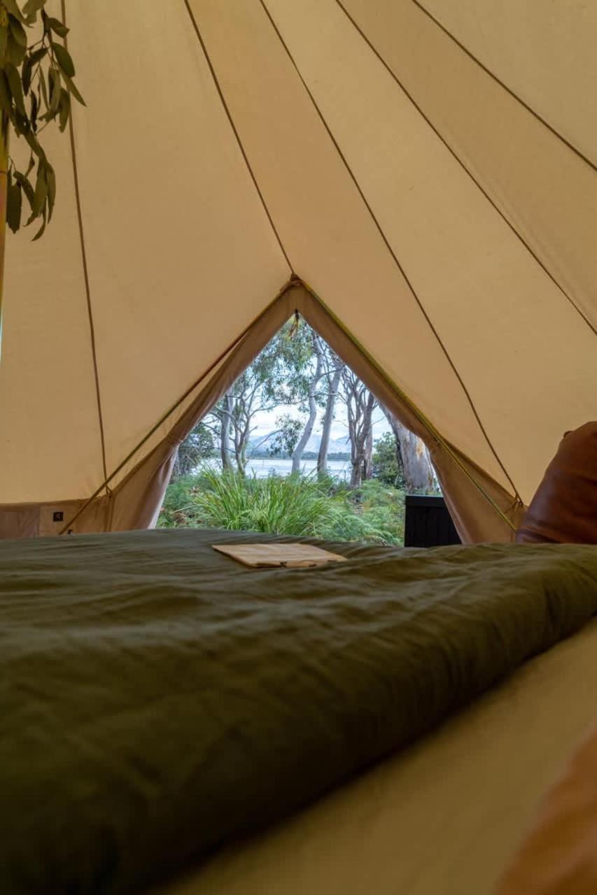 ホテル Numie - Freycinet Peninsula - Glamping - Heated - Waterfront コールズ・ベイ エクステリア 写真