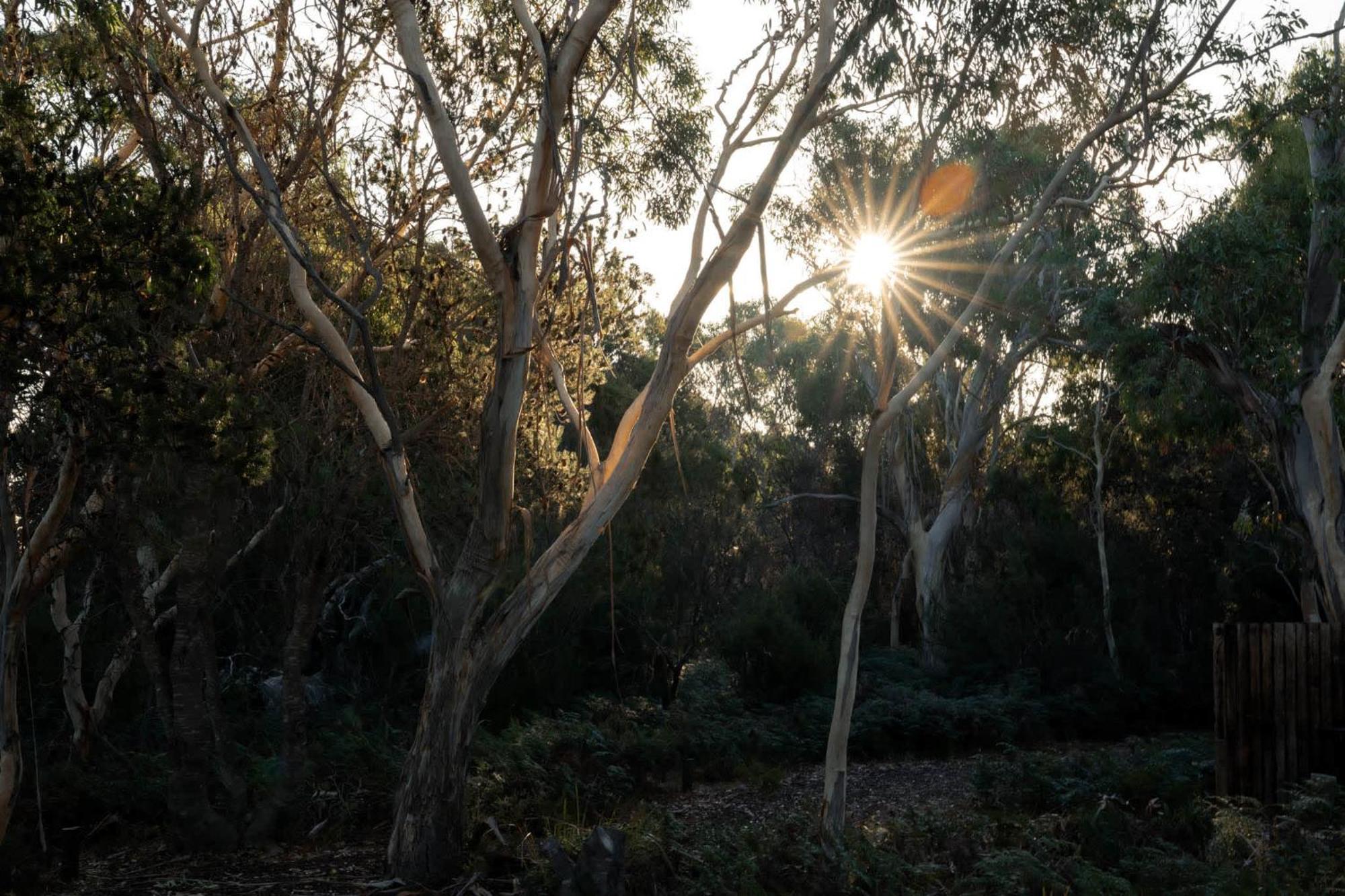 ホテル Numie - Freycinet Peninsula - Glamping - Heated - Waterfront コールズ・ベイ エクステリア 写真