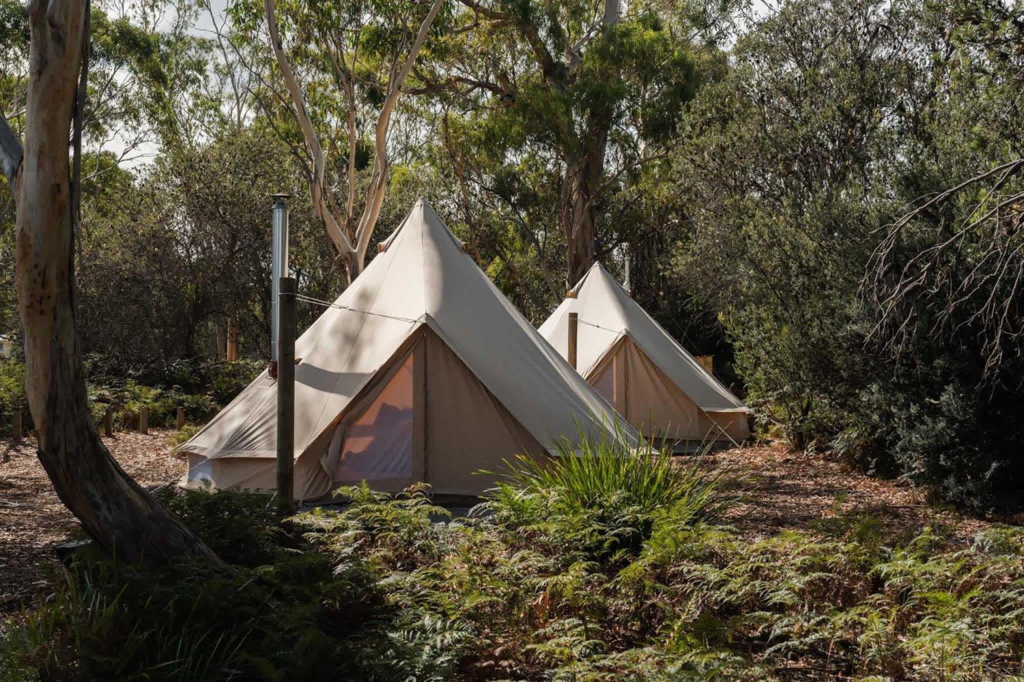 ホテル Numie - Freycinet Peninsula - Glamping - Heated - Waterfront コールズ・ベイ エクステリア 写真