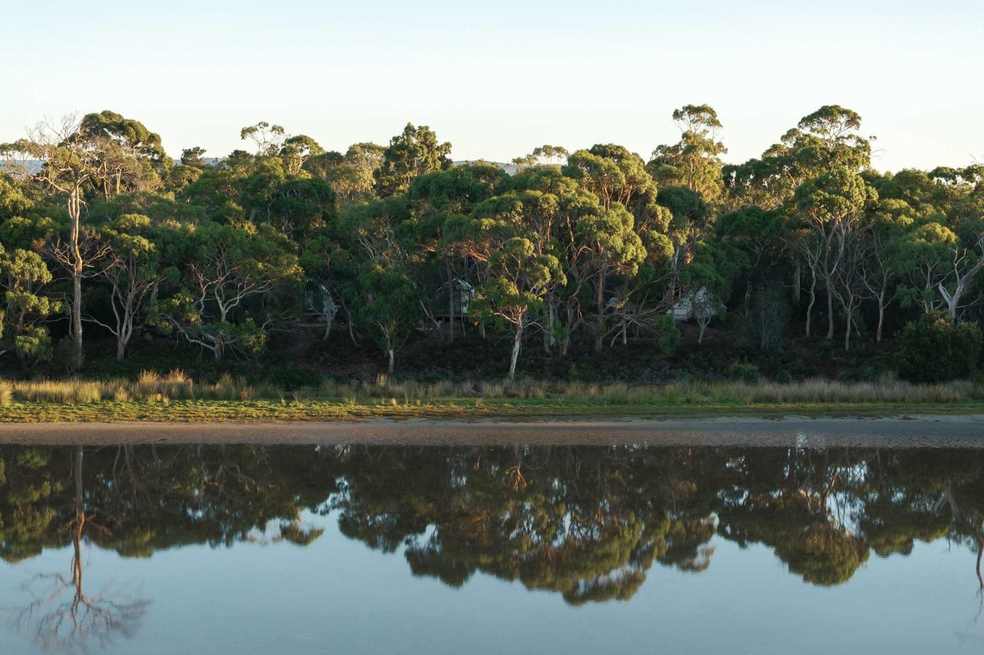 ホテル Numie - Freycinet Peninsula - Glamping - Heated - Waterfront コールズ・ベイ エクステリア 写真