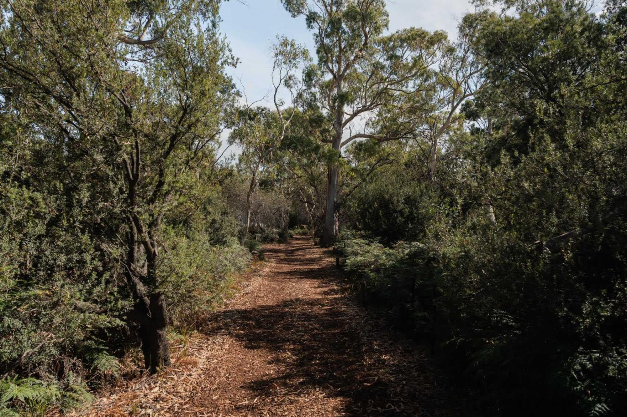 ホテル Numie - Freycinet Peninsula - Glamping - Heated - Waterfront コールズ・ベイ エクステリア 写真