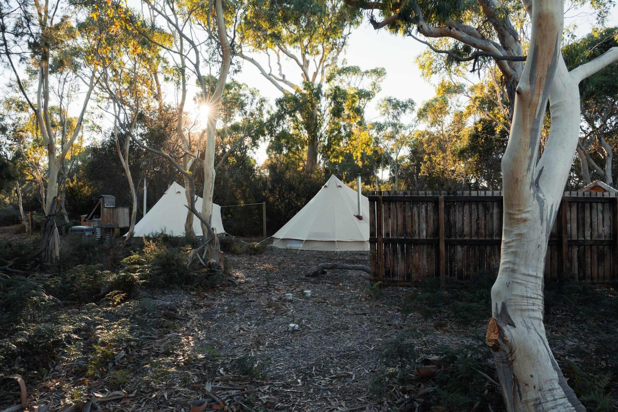 ホテル Numie - Freycinet Peninsula - Glamping - Heated - Waterfront コールズ・ベイ エクステリア 写真