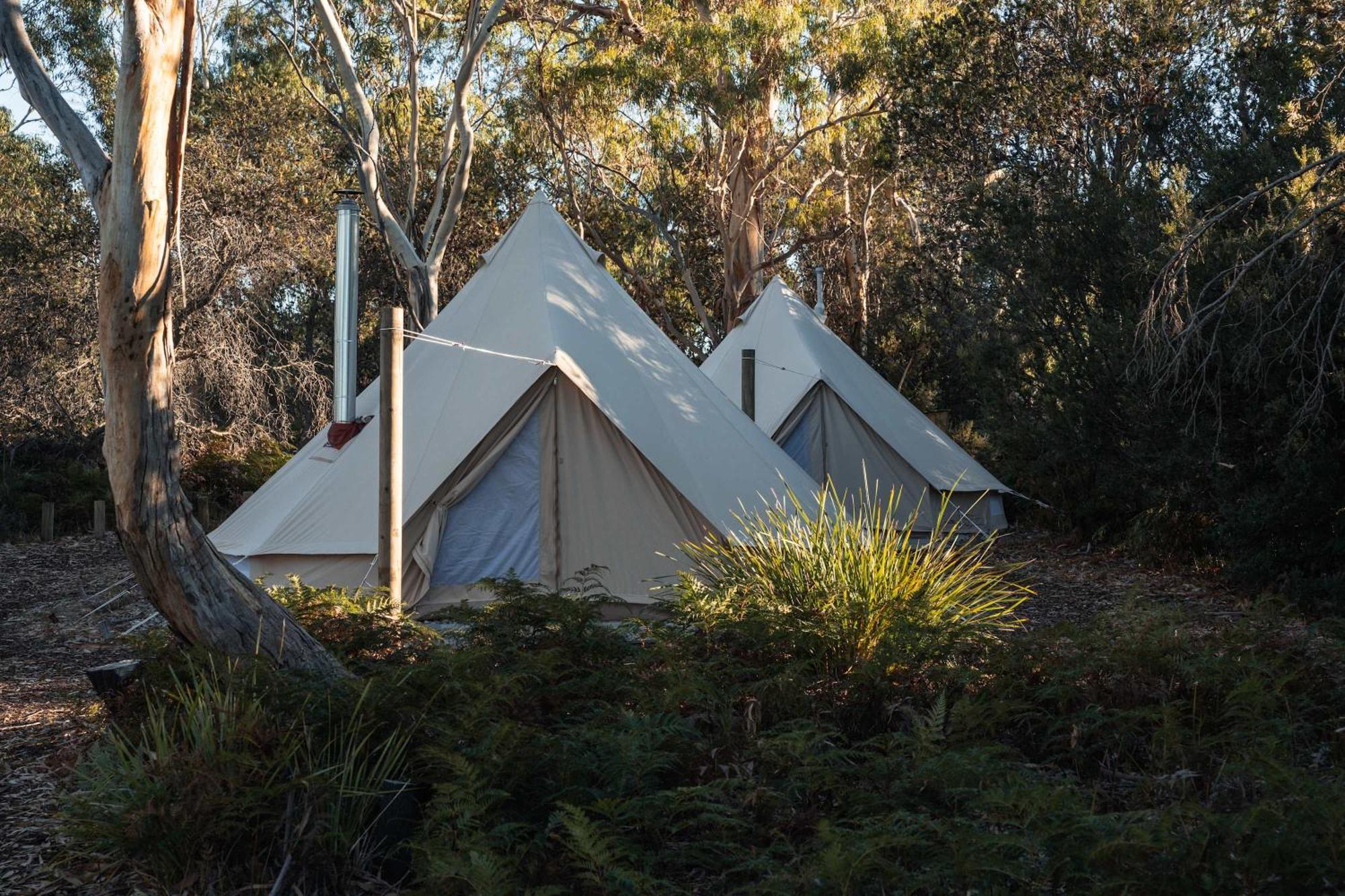 ホテル Numie - Freycinet Peninsula - Glamping - Heated - Waterfront コールズ・ベイ エクステリア 写真