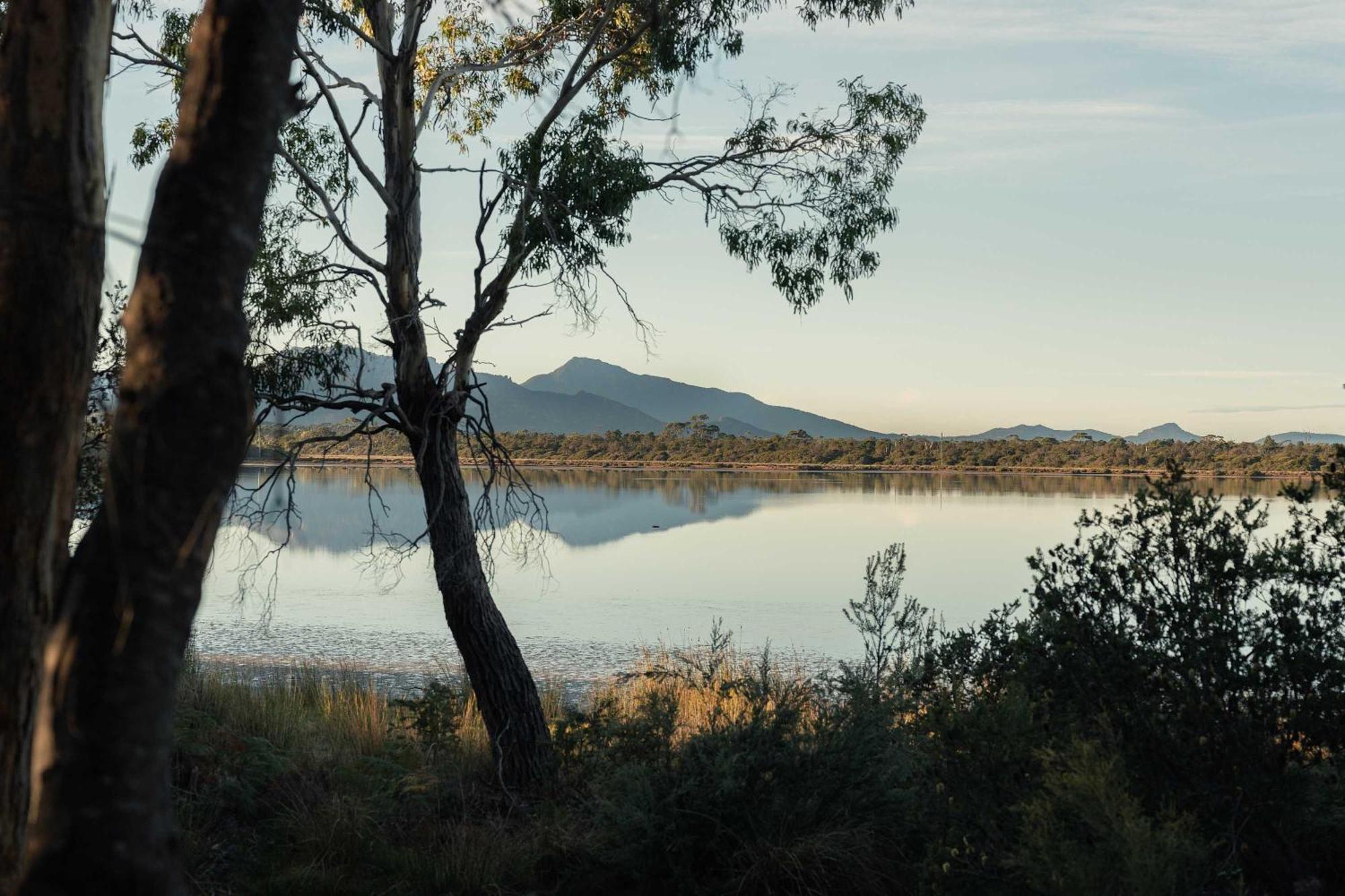 ホテル Numie - Freycinet Peninsula - Glamping - Heated - Waterfront コールズ・ベイ エクステリア 写真