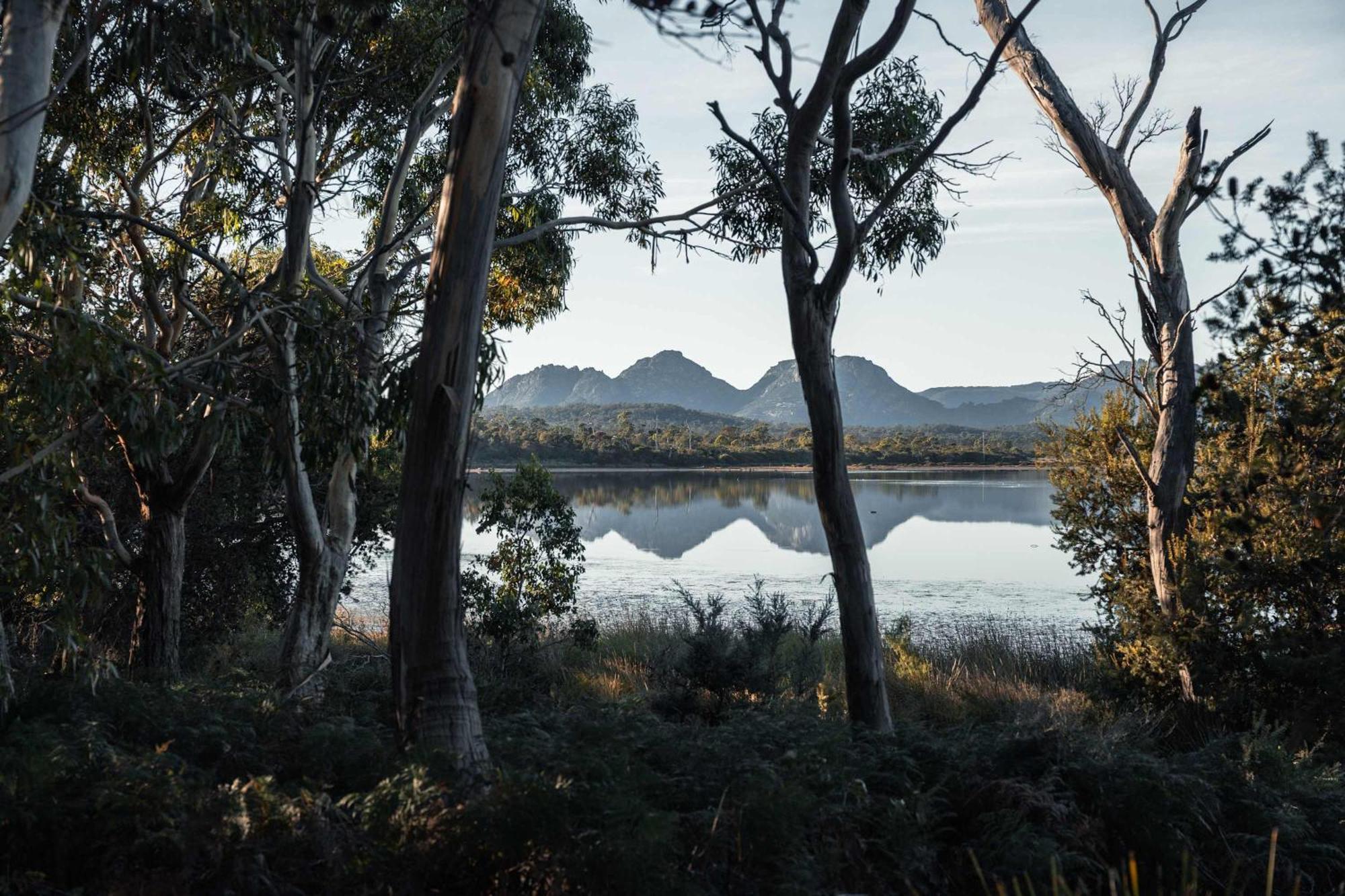 ホテル Numie - Freycinet Peninsula - Glamping - Heated - Waterfront コールズ・ベイ エクステリア 写真