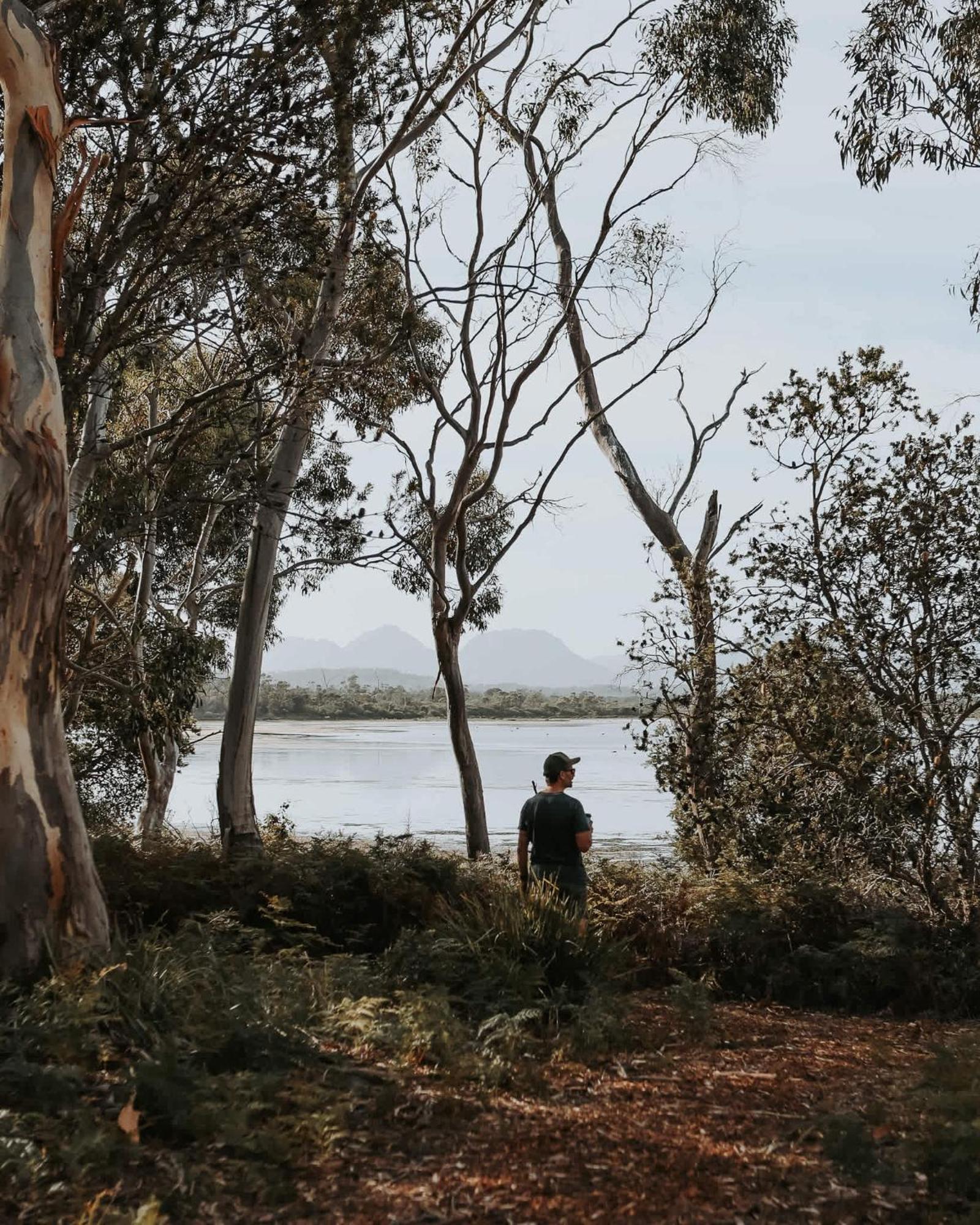 ホテル Numie - Freycinet Peninsula - Glamping - Heated - Waterfront コールズ・ベイ エクステリア 写真